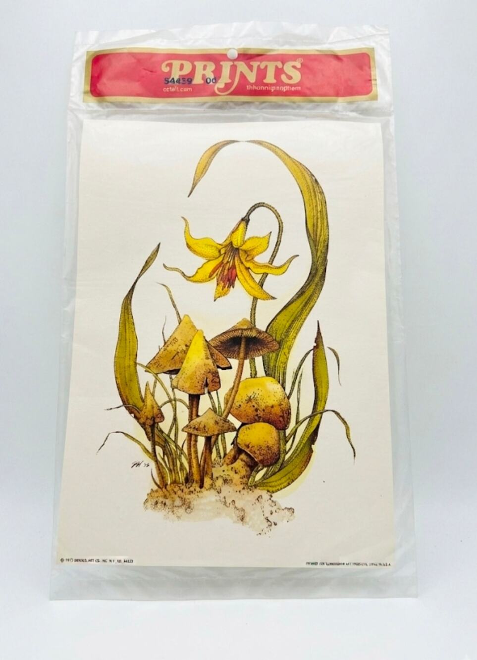NOS 1976 Donald Art Co Print Yellow Trout Lilly And Mushrooms 10"X 7"